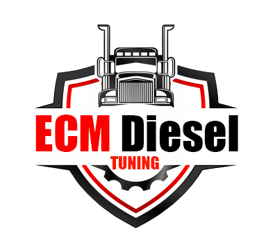 ecmdieseltuning.com